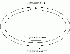 Сети ЭВМ и средства телекоммуникаций